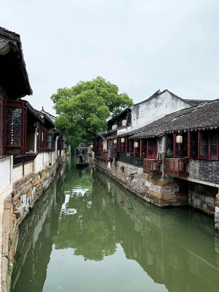 如果奔跑是我的人生:难怪林天宇放弃舞台,竟与死去白月光有关,安心成替身